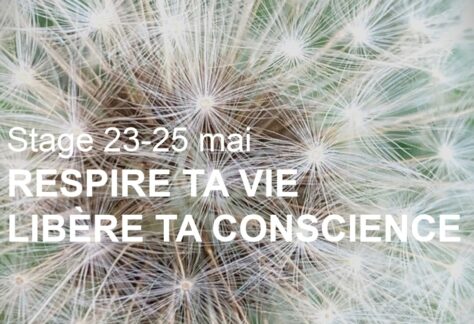 Respire ta vie