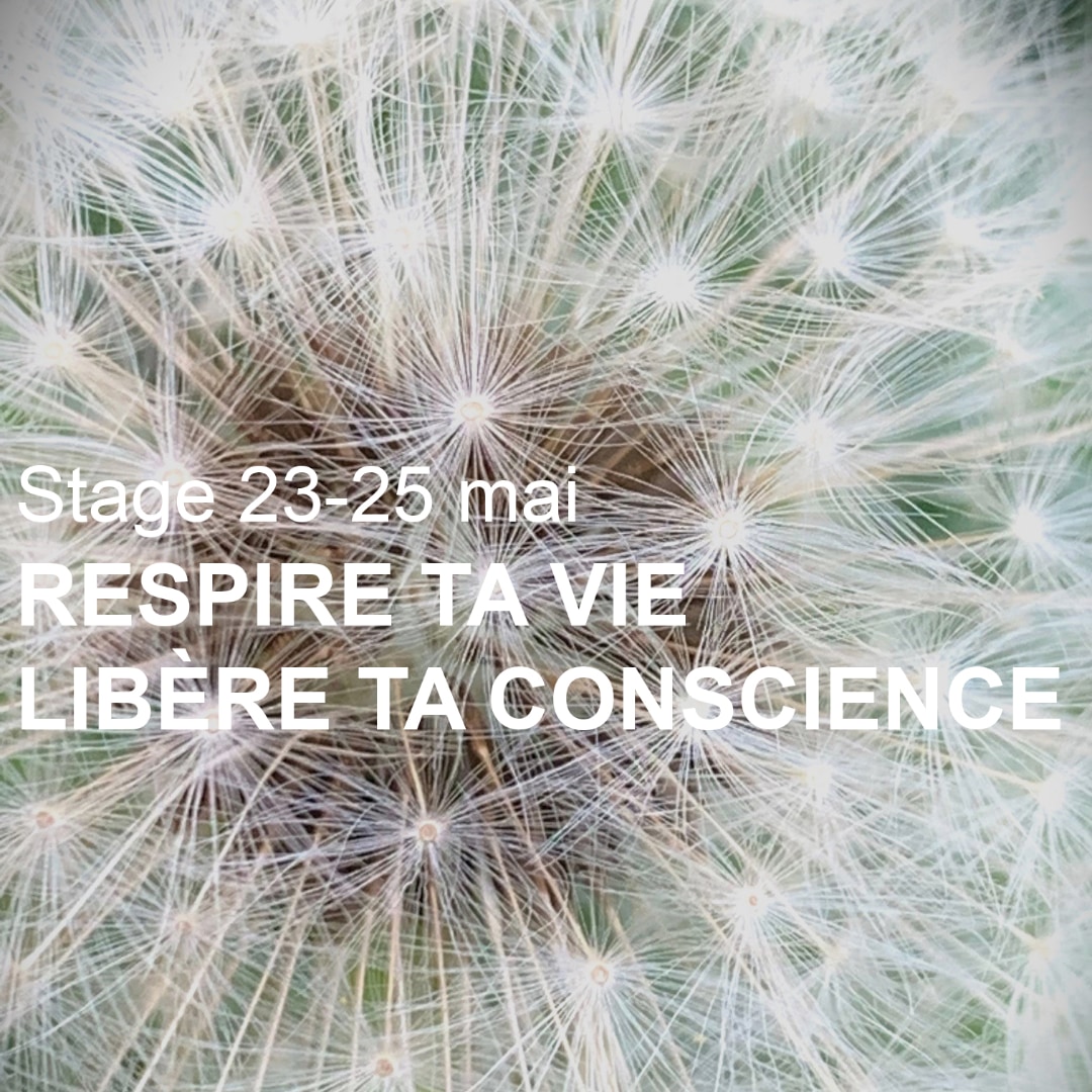 Respire ta vie