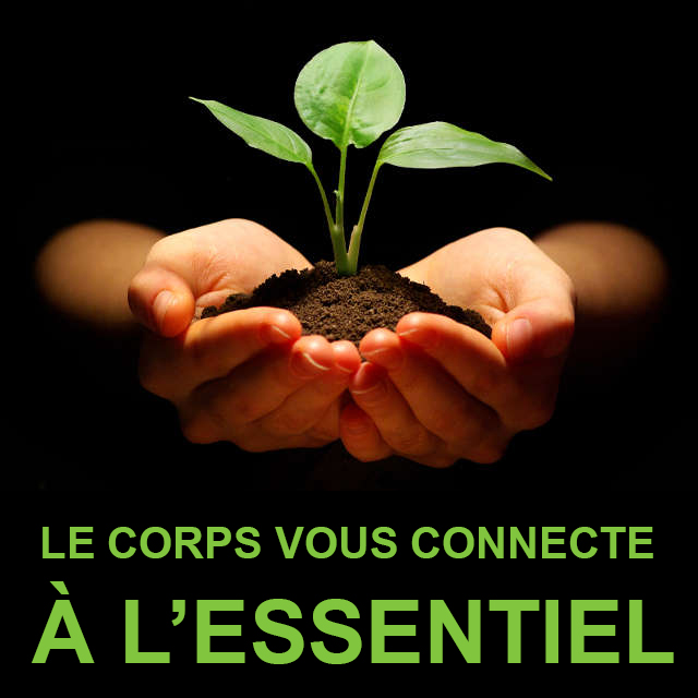 Stage "S"ouvrir à d'autres dimensions"